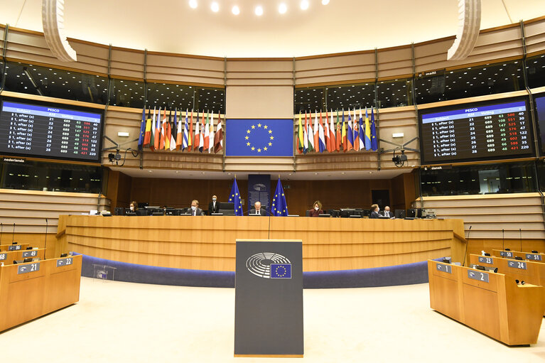 EP Plenary session - Results of the first voting session