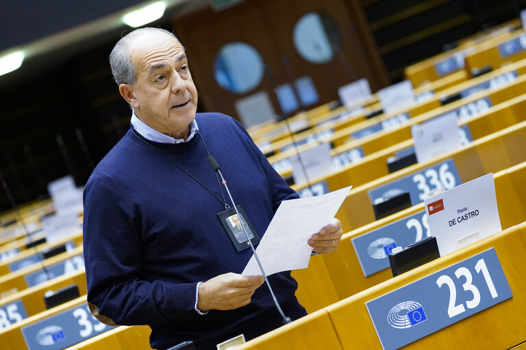 EP Plenary session - The European Forest Strategy - The Way Forward