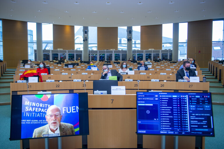 Foto 13: Public Hearing - European Citizens' Initiative: “Minority Safepack”