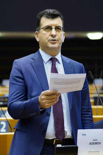 EP Plenary session - The European Forest Strategy - The Way Forward