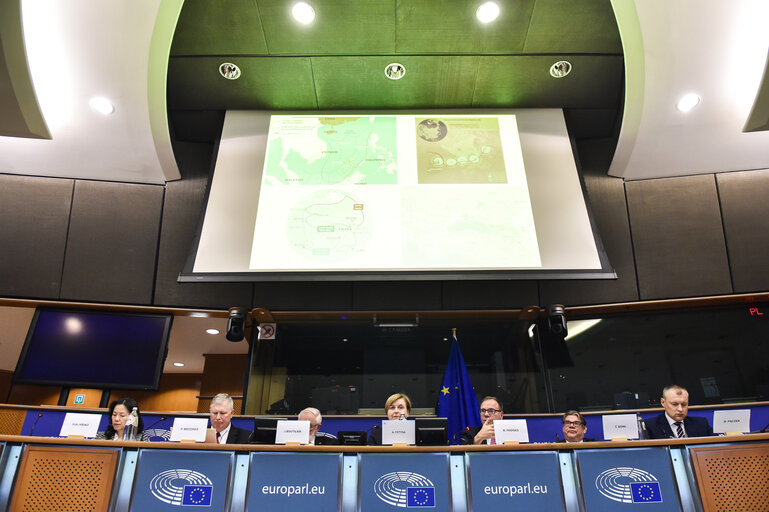 Maritime Security and the Blue Economy