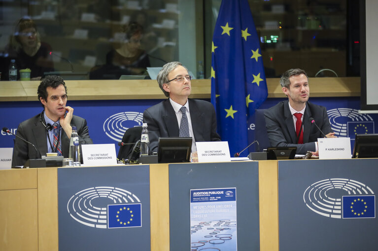 Nuotrauka 9: PECH Committee meeting - Public hearing - Measures to Improve Sustainable Aquaculture in the EU