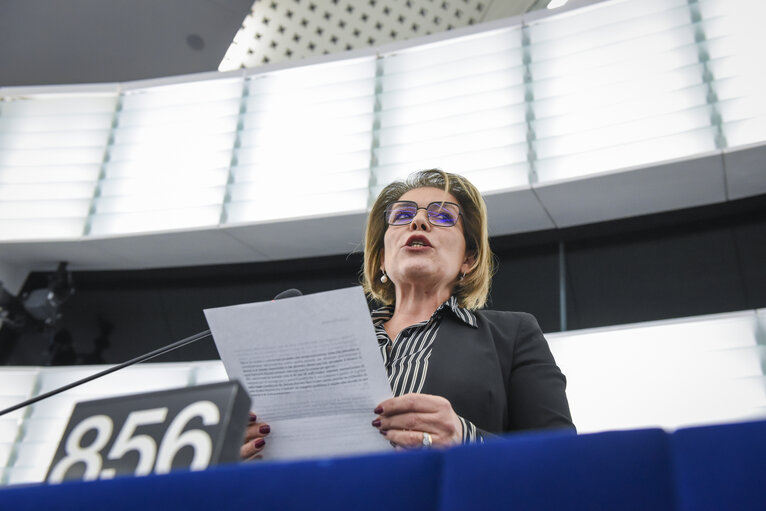 Fotogrāfija 4: Daniela RONDINELLI in the EP in Strasbourg