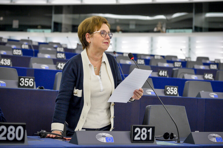 Photo 10: EP Plenary session - Child labour in mines in Madagascar