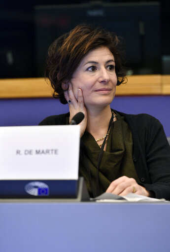 Photo 12: EP Press Roundtable on the MFF : ' The EU Long-Term budget 2021 - 2027 ' - Roundtable with EP's negotiation team