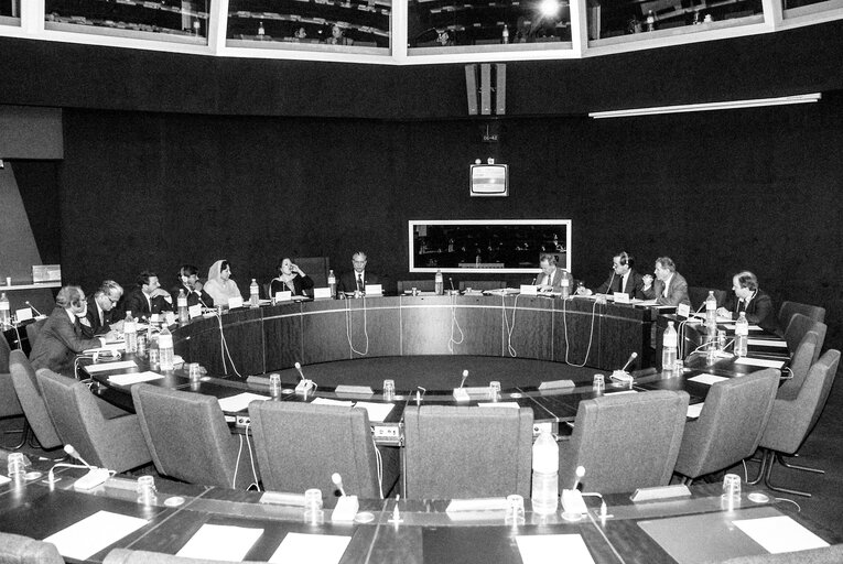 Meeting with the Speaker of the National Assembly of Pakistan, at the EP in Strasbourg