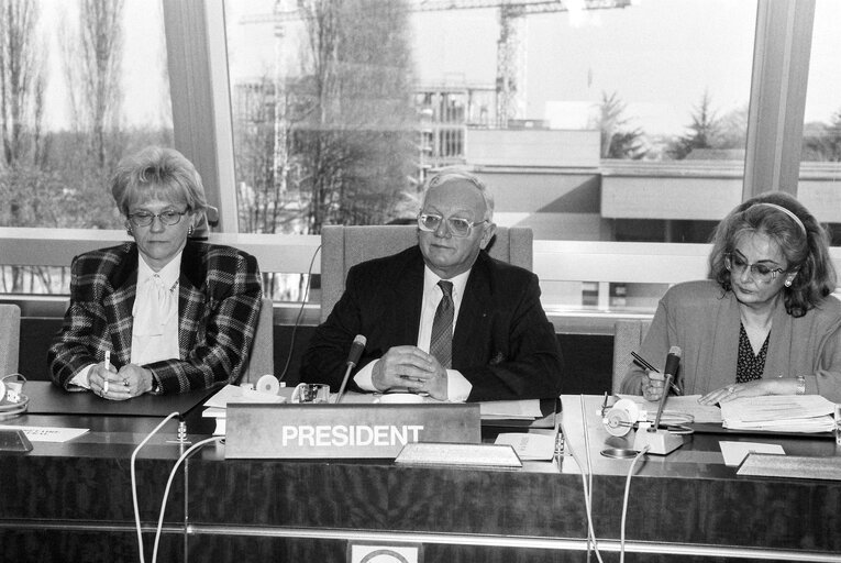 Meeting at the EP in Strasbourg