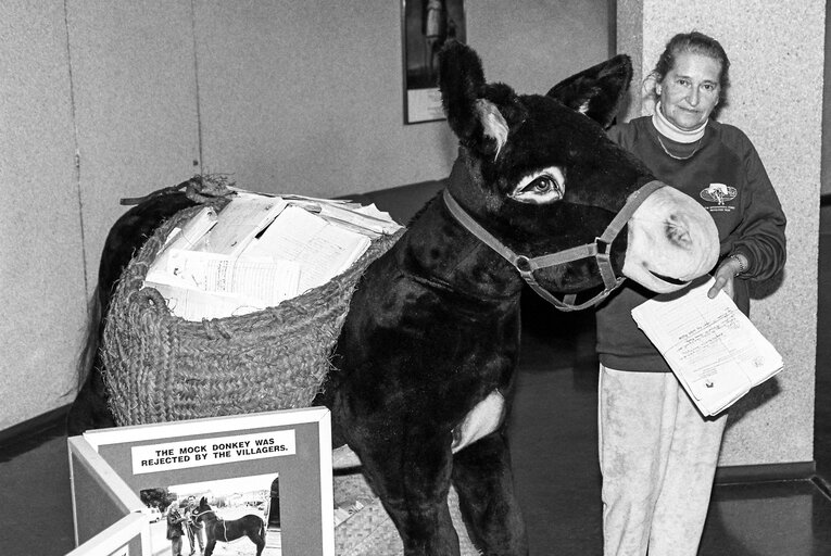 Foto 1: Demonstration of the International Donkey Protection Trust at the EP in Strasbourg.