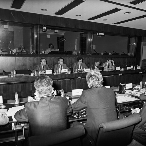 Fotografie 1: Meeting at the European Parliament in Brussels in June 1985