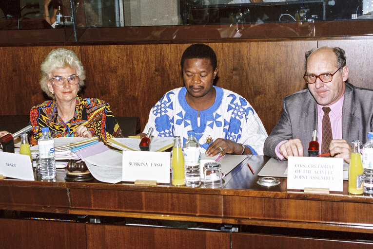 Joint Assembly of the Agreement between the African, Caribbean and Pacific States and the European Economic Community ( ACP-EEC ) meeting