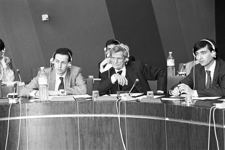 Fotografi 1: Meeting at the European Parliament in Strasbourg