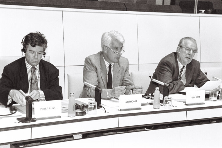 Fotografie 1: Meeting at the EP in Strasbourg