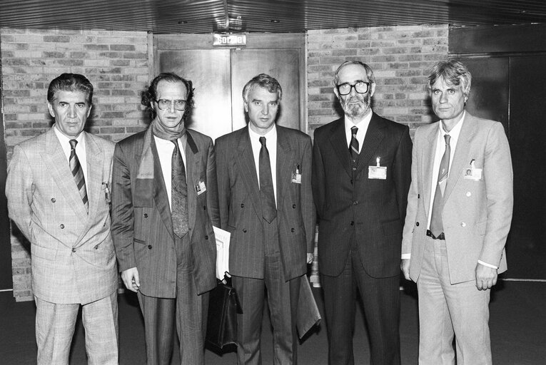 Fotografie 1: Delegation from Kosovo at the European Parliament in Strasbourg