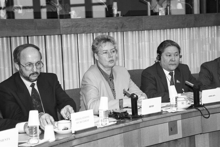 Photo 4 : Meeting in the European Parliament