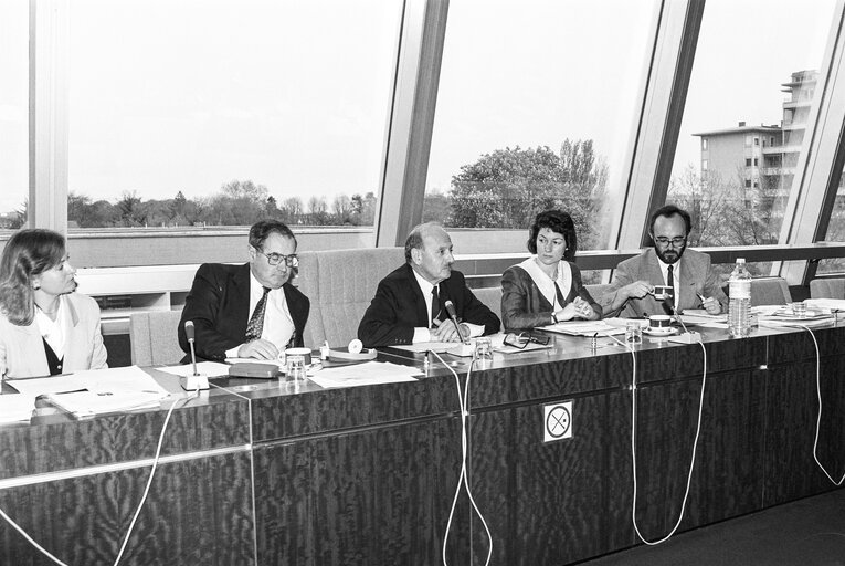 Fotografie 1: MEP Derek PRAG with guests in Strasbourg in April 1990