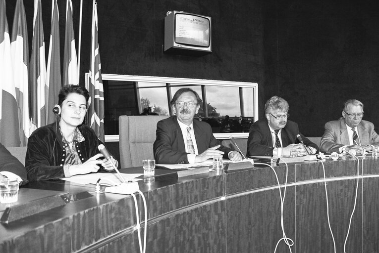 Foto 1: Press conference at the European Parliament in Strasbourg