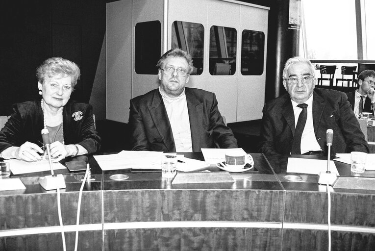 Fotografia 1: Meeting at the European Parliament in Strasbourg