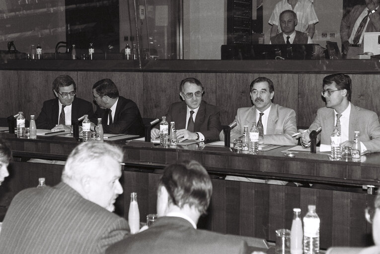 Fotografia 1: Meeting on agriculture at the EP in Strasbourg.