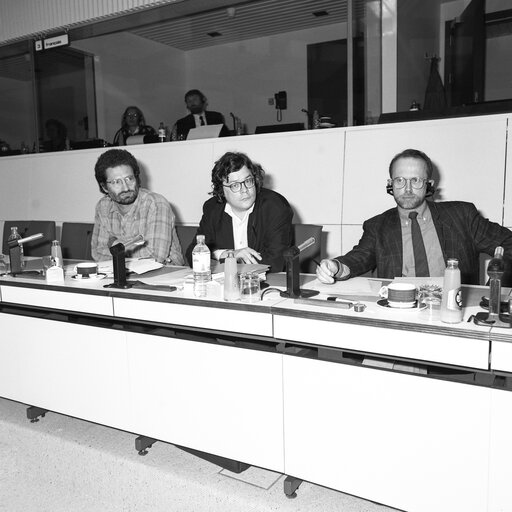 Photo 1: Meeting at the European Parliament in Brussels