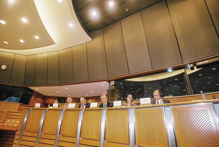 Fotografia 1: Meeting in the European Parliament