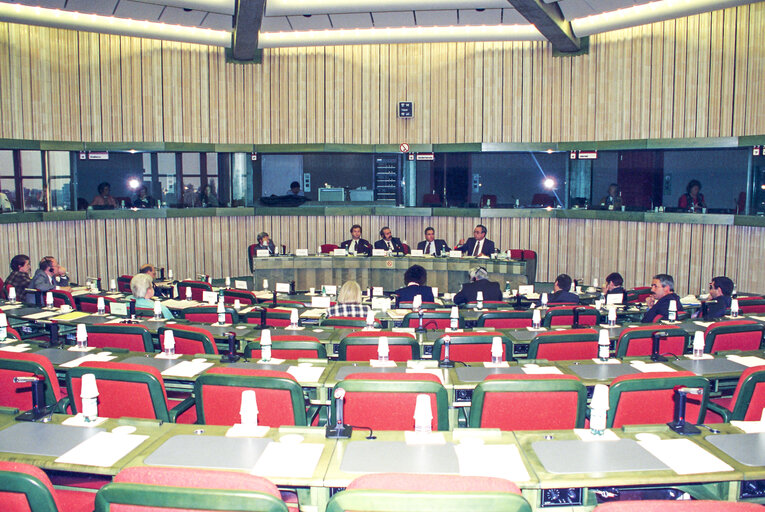 Suriet 4: Meeting of the EP delegation for relations with Israel