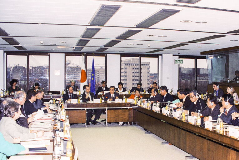 Joint Parliamentary Committee meeting EU-Japan at the EP in Strasbourg