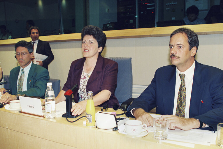 Photo 1 : The MEP Pauline GREEN durig a meeting in Brussels in July 1994.