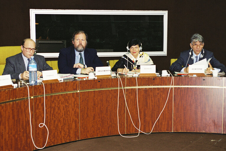 Valokuva 1: Alain POMPIDOU, M. HOLDSWORTH,  Renate Charlotte HEINISCH, M. SILVESTRO during a meeting in Strasbourg in November 1994.