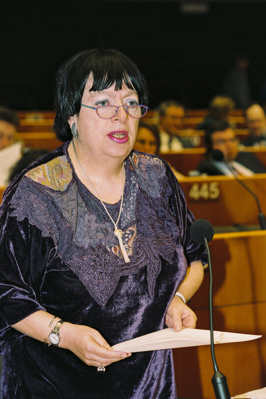 Plenary session at the European Parliament  in Brussels