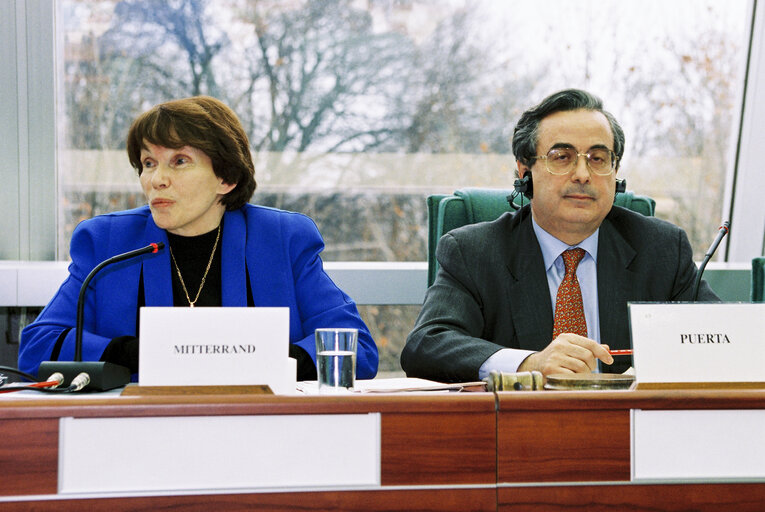 Fotografija 3: Meeting with the wife of former French President Mitterrand