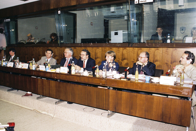 Fotografie 1: EPP meeting