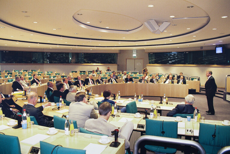 Foto 24: Meeting of the Committee on Petitions