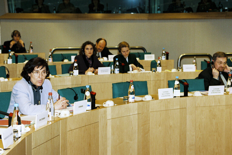 Fotografija 1: Meeting of the EP-Estonia delegation