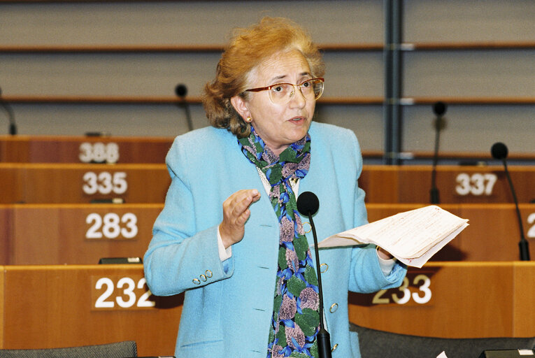 Plenary session in Brussels