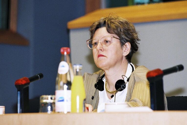 Fotografija 11: Committee on Institutional Affairs - Public hearing - 1996 Intergovernmental Conference - The European Parliament : A Sounding Board for Europe's Citizens