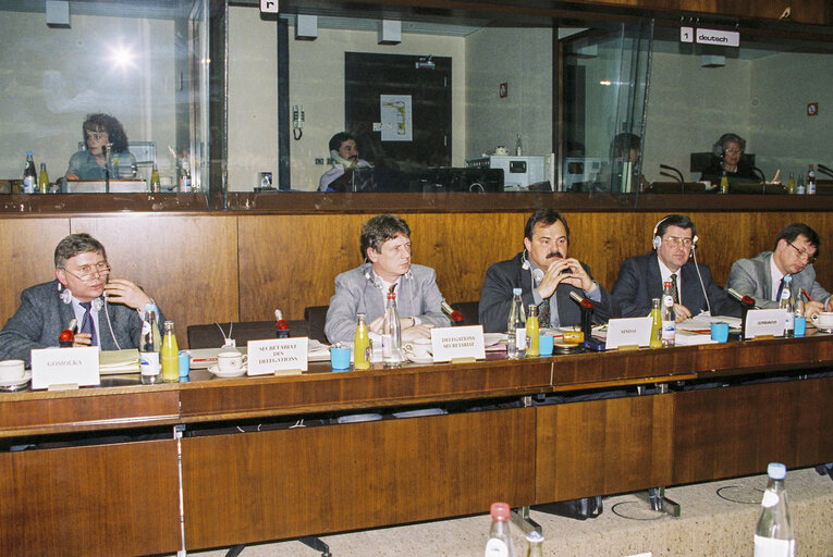 EU-Estonia Joint parliamentary meeting at the EP in Brussels