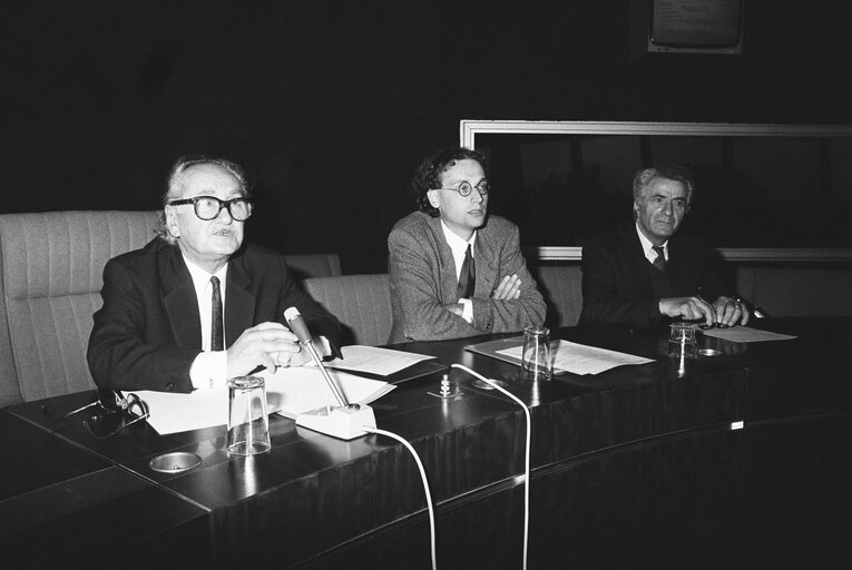 Fotografi 1: Meeting at the European Parliament in Strasbourg