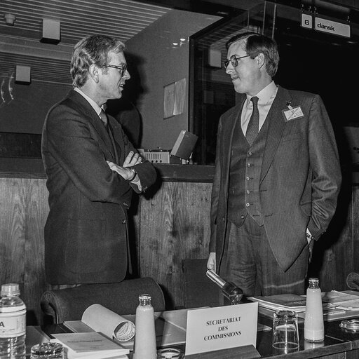 Fotografie 14: Hearing on disarmament at the European Parliament in Brussels