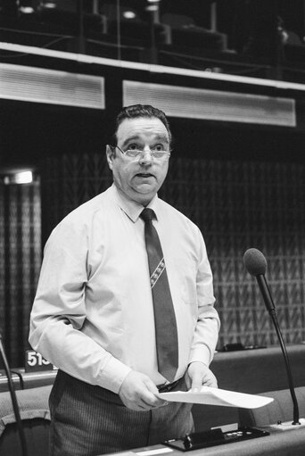 Plenary session in Strasbourg