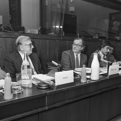 Fotografia 1: Hearings at the EP in Brussels