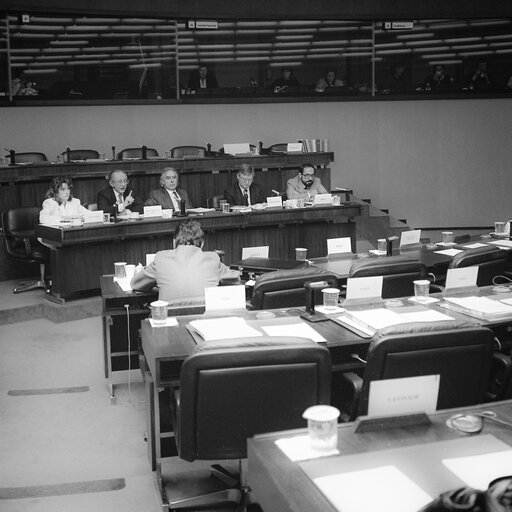 Fotografia 1: Meeting of the socialist group with the leader of the social democratic party of El Salvador in December 1988