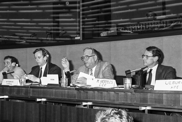 Fotografia 3: Meeting at the European Parliament with MEP Hans Johannes Wilhelm PETERS