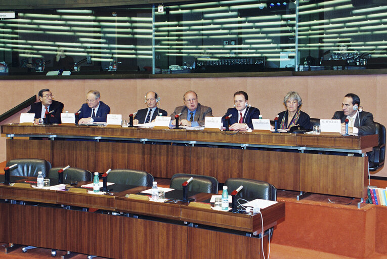 Meeting at the European Parliament in Strasbourg