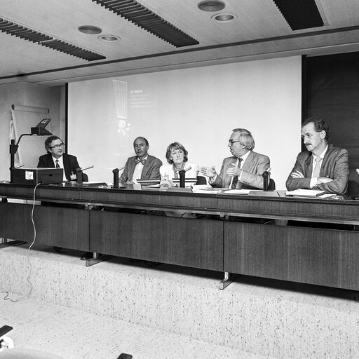 Foto 2: Eileen LEMASS chairs a meeting about TV satellites at the European Parliament