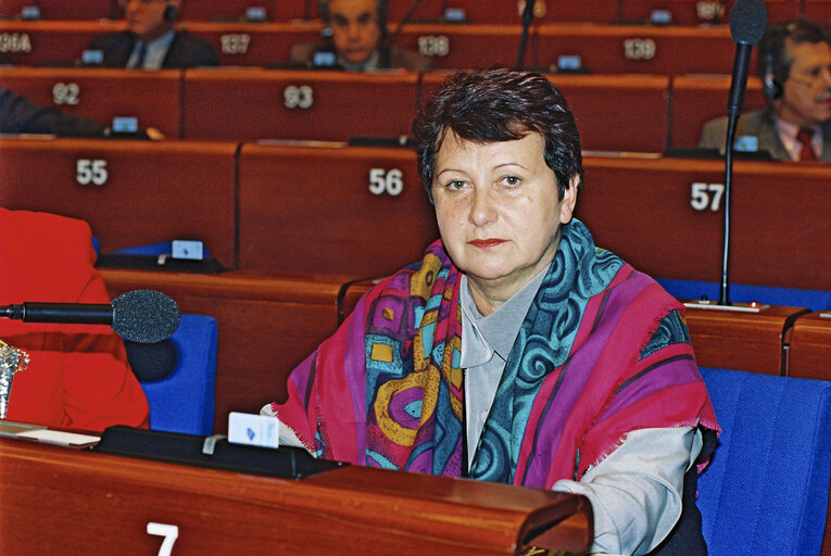 Plenary session in Strasbourg