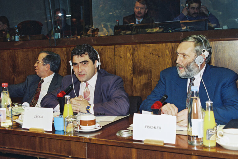 Fotografija 1: Hearing of Franz FISCHLER (Austria), Commissioner designate for Agriculture