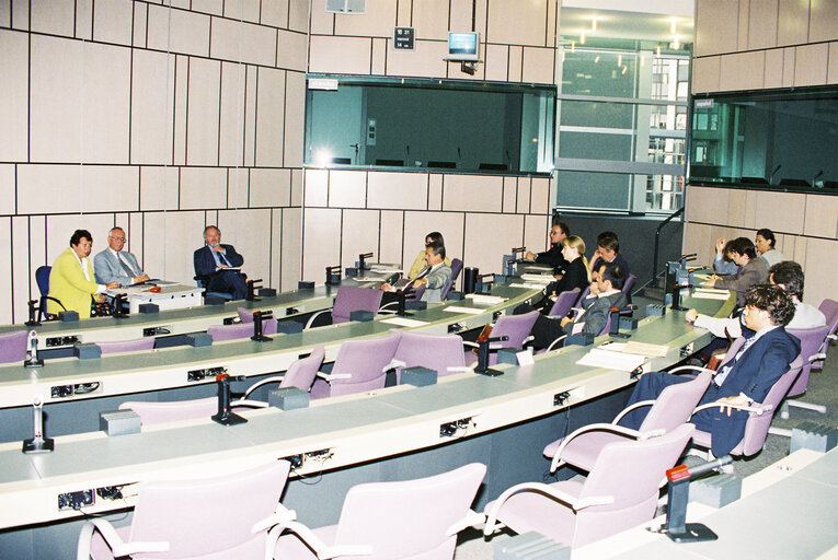 Billede 1: Austrian MEPs with visitors in Strasbourg