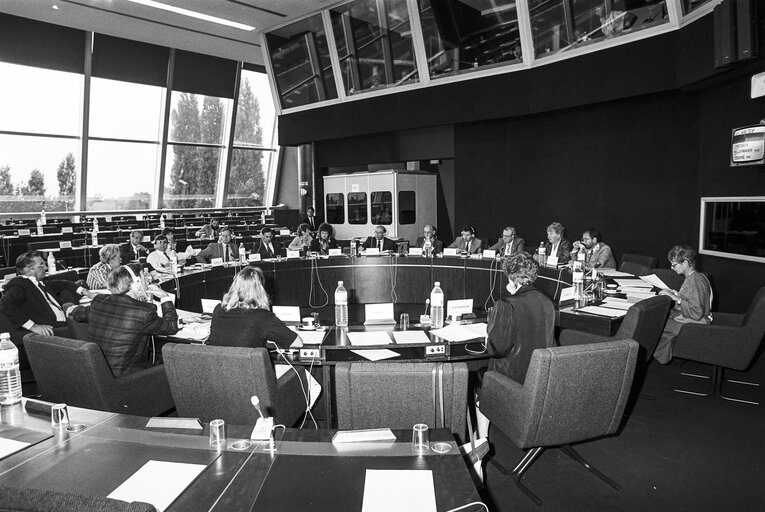 Valokuva 3: Meeting at the European Parliament