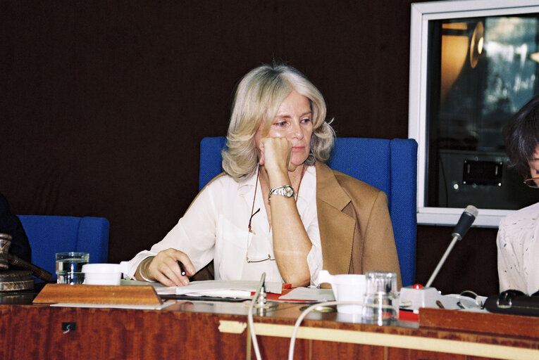 Fotografie 1: Meeting at the European Parliament in Strasbourg