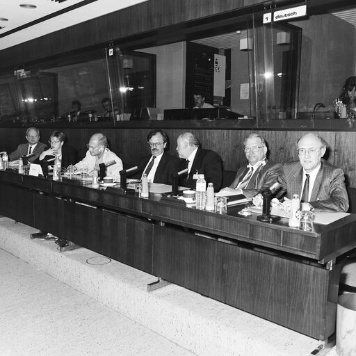 Meeting at the European Parliament in Brussels